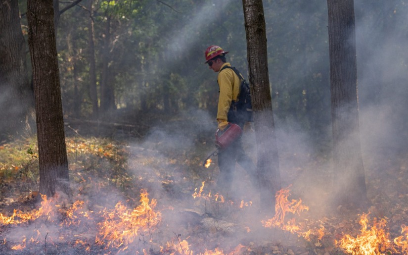 Prescribed Fire for Forest Management Webinar Series